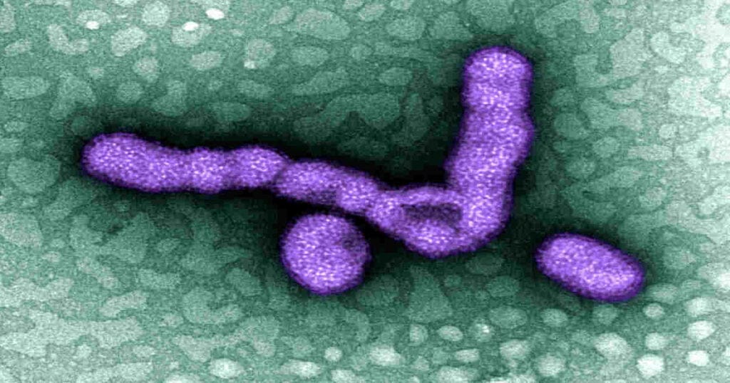 A recent surge of Flu in Georgia sparks concerns 1 Flu in Georgia