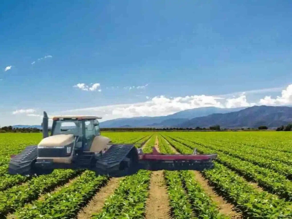 North Carolina's Agriculture Hits $100 Billion Amid Challenges 1 north carolina
