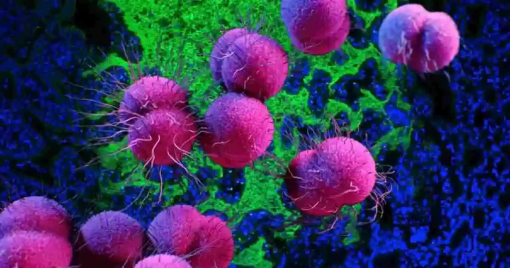 Gut Bacteria Microbiomes Linked To Brain Health, Reveals Study 1 microbiomes