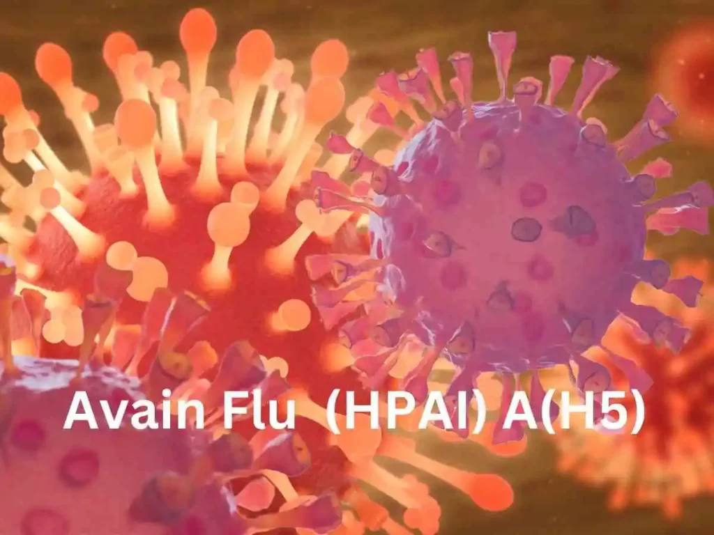 New Flu Symptoms Confirmed Among US Poultry Workers 1 Flu Symptoms