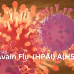 New Flu Symptoms Confirmed Among US Poultry Workers Flu Symptoms