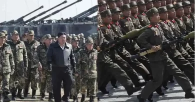 north korean troops