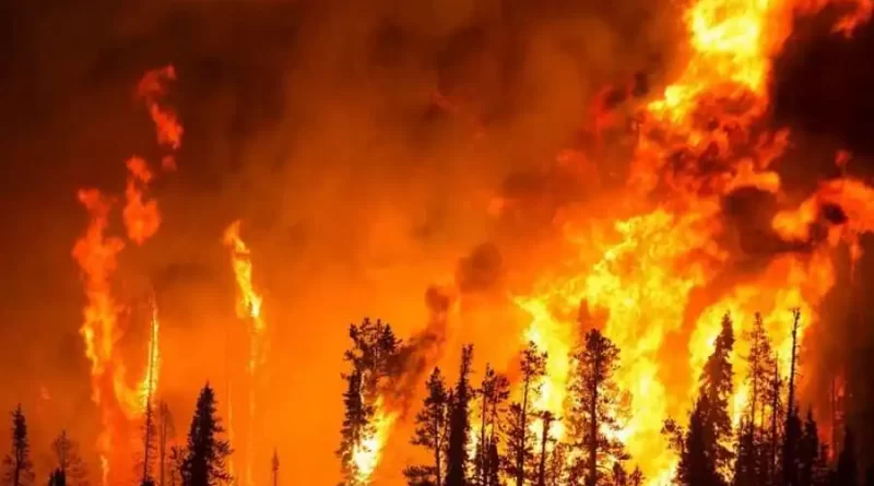 California wildfire