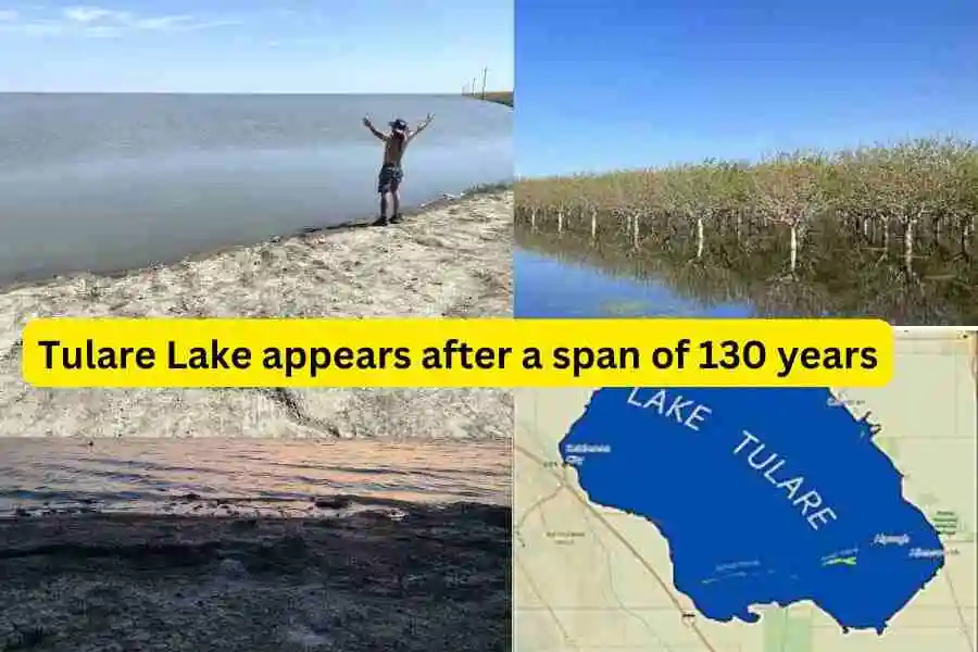 Tulare Lake