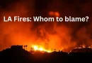 LA Fires