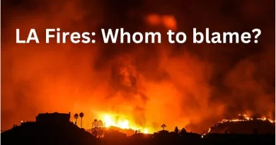 LA Fires