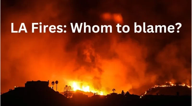 LA Fires