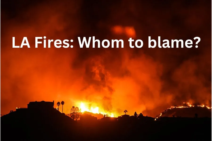 LA Fires: Battling for Loss and Chaos in survival 1 LA Fires