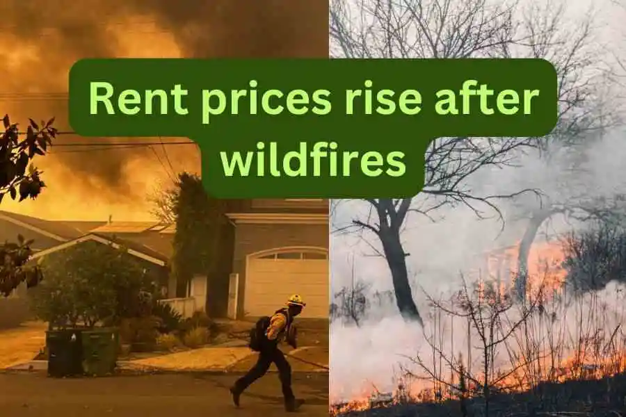 LA fires Escalate Housing Woes As Rents Rise 1 LA fires