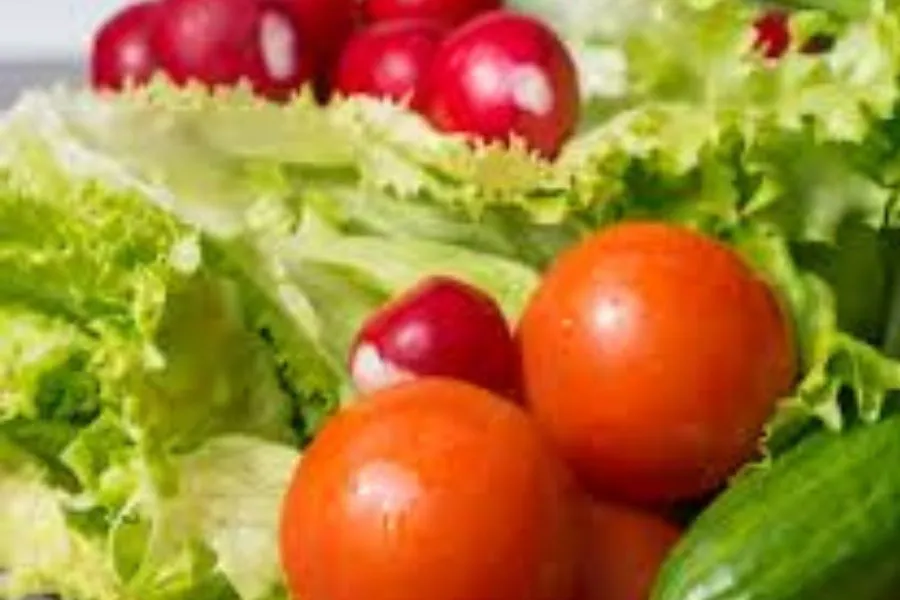 Plant-Based Fiber Diet prevents E. Coli Risks 1 fiber