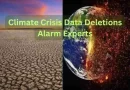 climate crisis