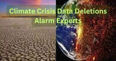 climate crisis