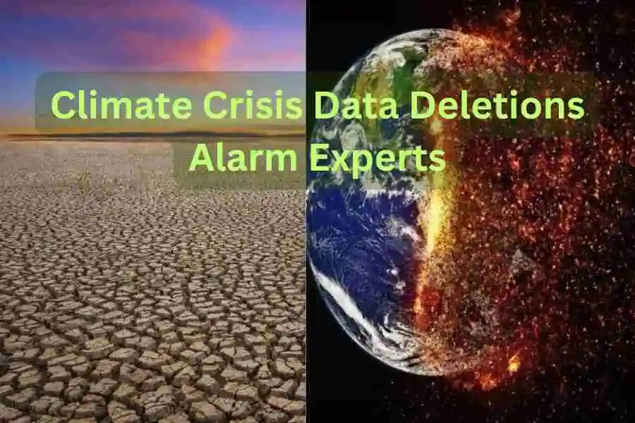 climate crisis