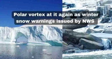 Arctic Blast